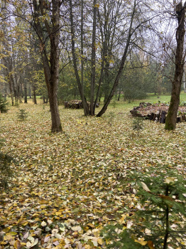 Планирование уроков в курсе по планированию