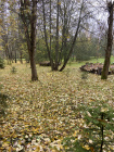 Планирование уроков в курсе по планированию